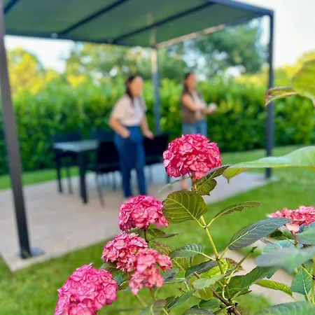 Διαμέρισμα La Sovrana Dei Cimini