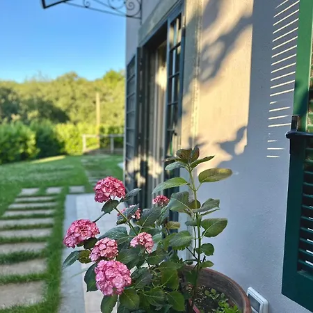 La Sovrana Dei Cimini *