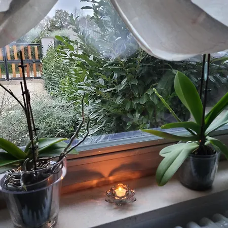 La Sovrana Dei Cimini Διαμέρισμα Bagnaia (Viterbo)